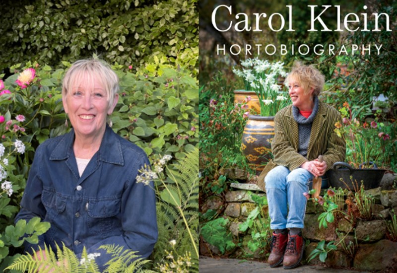 Carol Klein