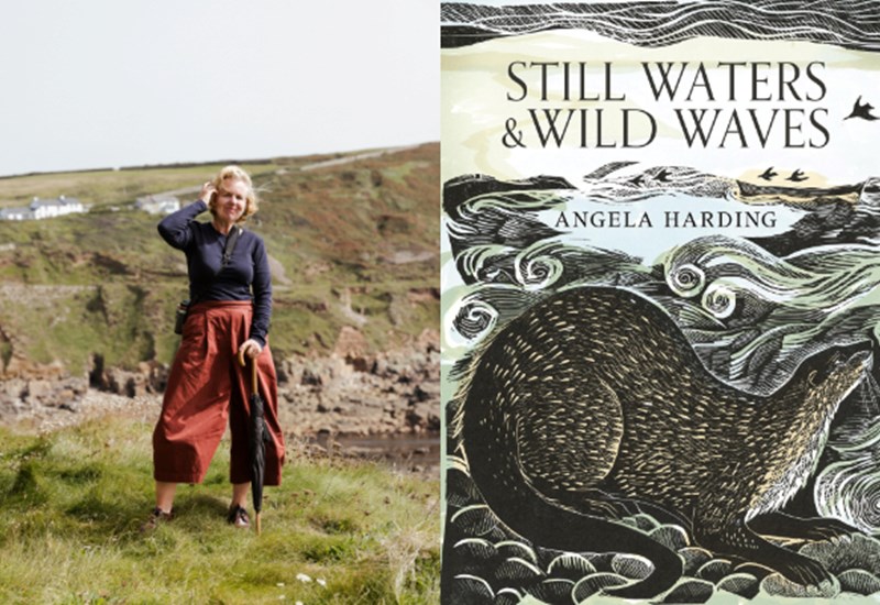 Angela Harding