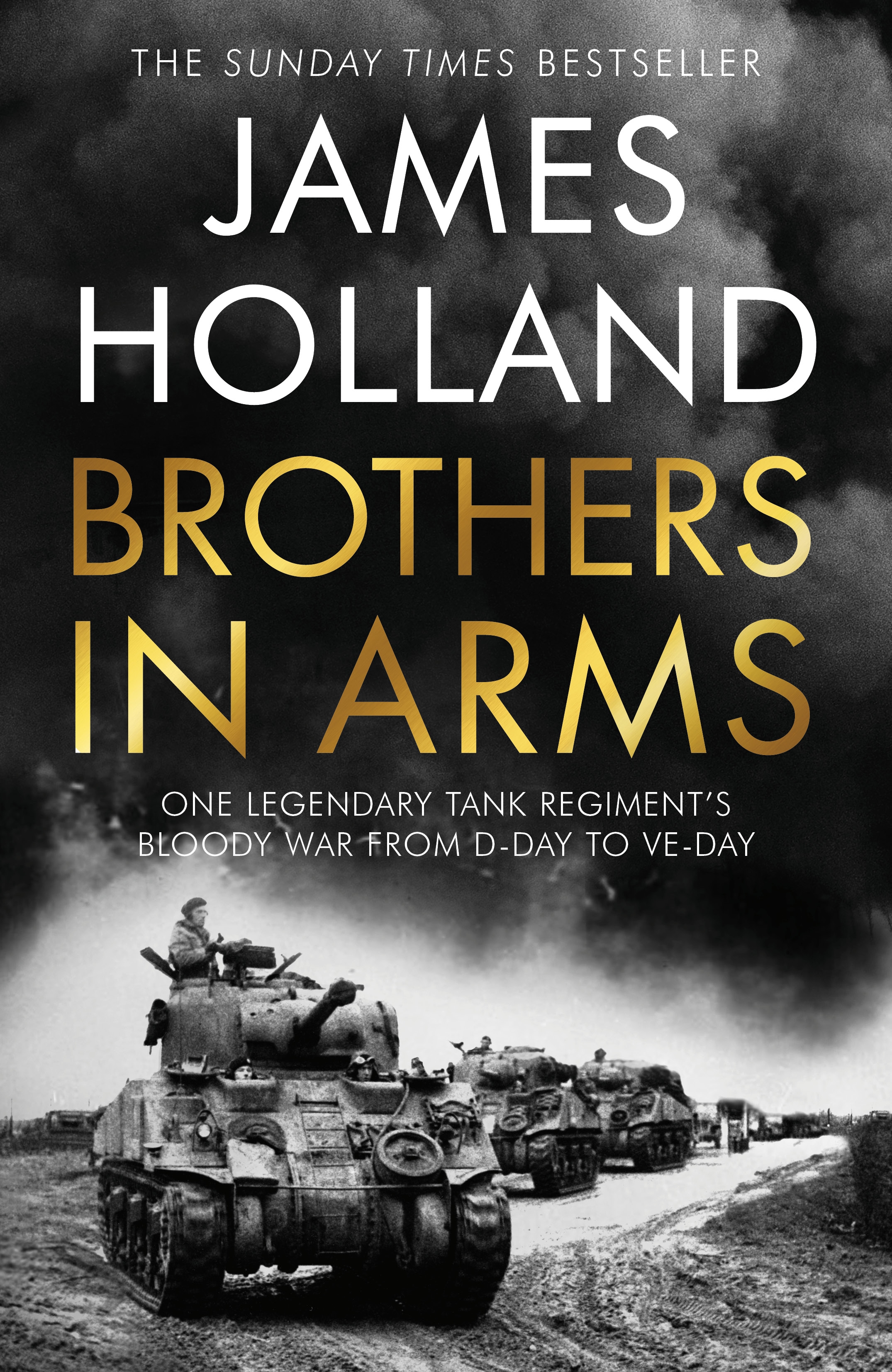 Brothers in Arms book cover image
