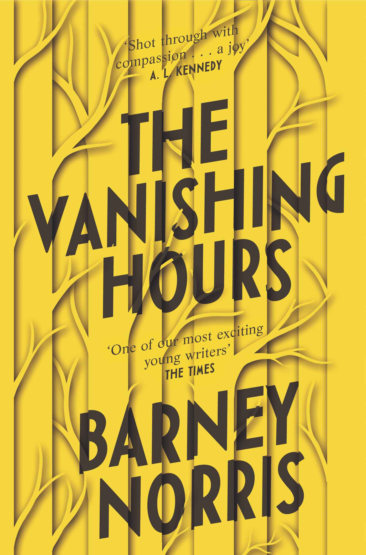 The Vanishing Hours book cover image